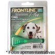 Frontline Plus para cães de 20,1 até 40kg 