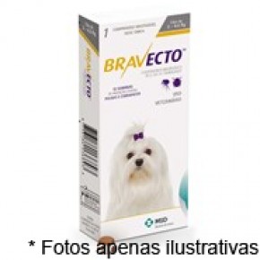 Bravecto Anti pulgas e Carrapatos para Cães de 2 a 4,5 kg