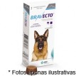 Bravecto Anti pulgas e Carrapatos para Cães de 20 a 40 kg