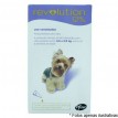 Revolution 12%  para cães de 2,6 a 5kg