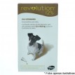 Revolution 12%  para cães de 5,1 a 10kg