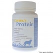 Caninos Protein 100g