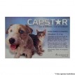 Capstar 11mg com 6 comprimidos