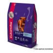Ração Eukanuba Raças Grandes Filhotes 12kg